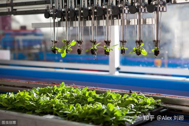 现代农业中的黑科技1基因技术自动化垂直种植