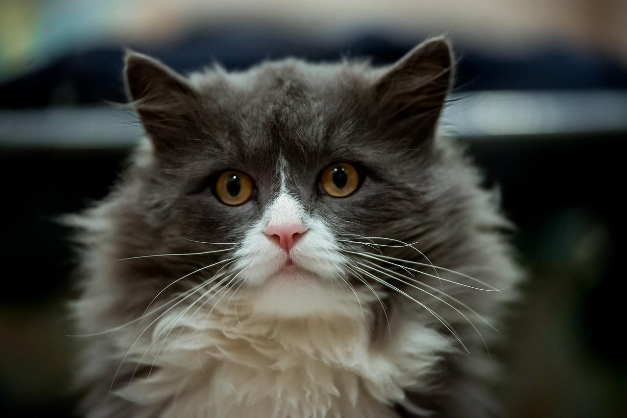 3. 交通配套解析