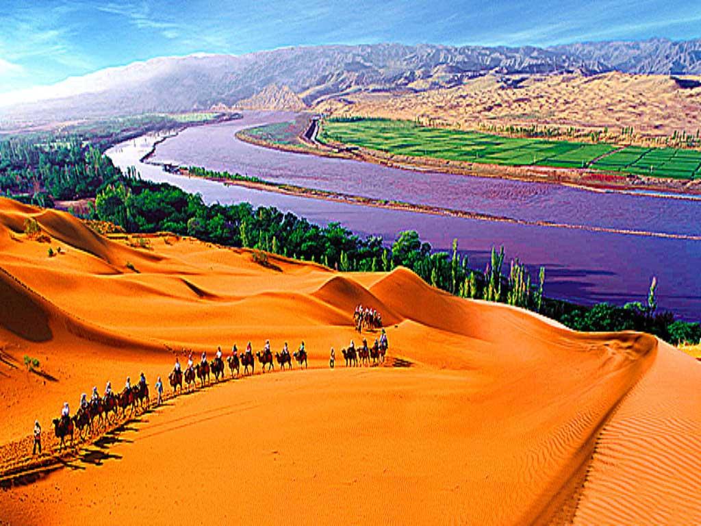 【携程攻略】中卫沙坡头景点,沙坡头旅游区是国家首批AAAA级旅游景区，是第一个国家级沙漠生态自然…