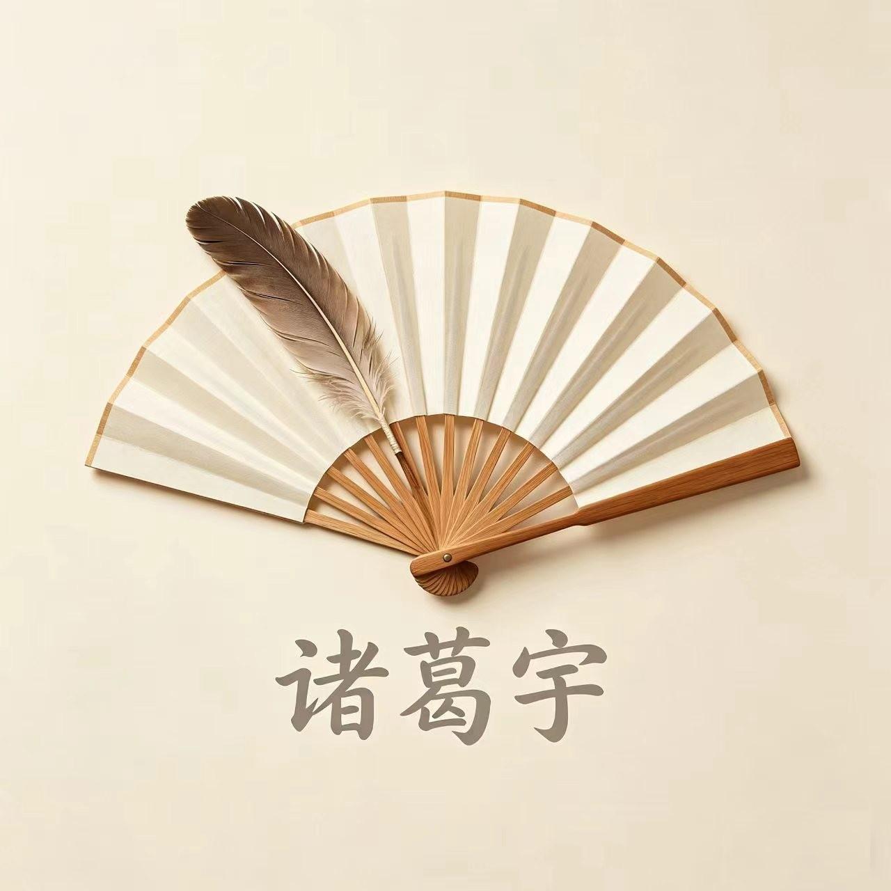 诸葛宇
