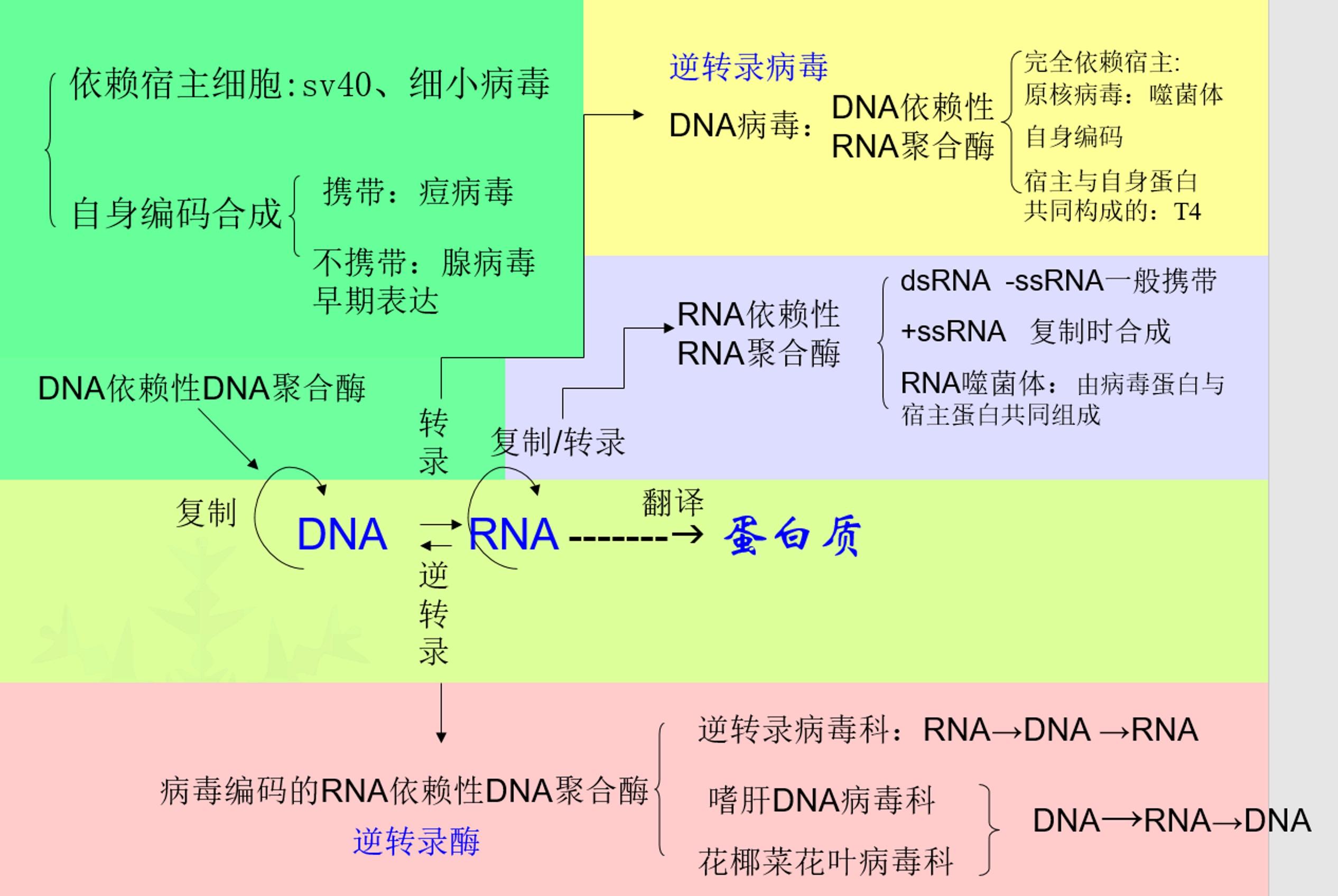 朊病毒的發現會不會成為對中心法則進行補充的契機