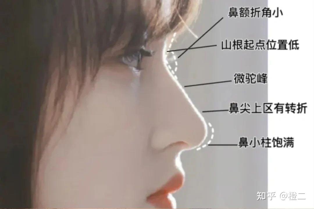 好看的鼻子≠适合的鼻子