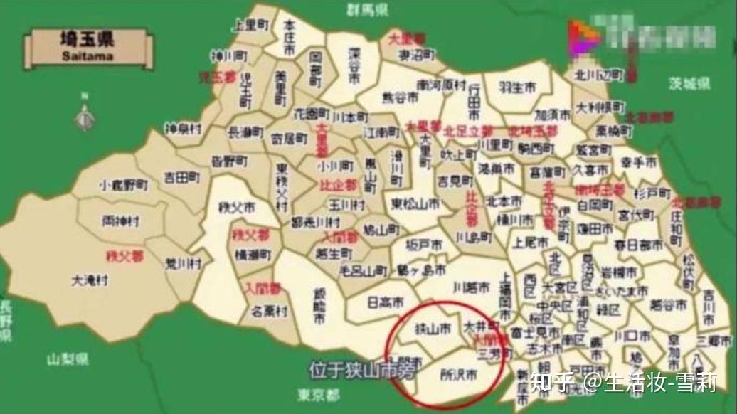 宫崎骏的电影龙猫原型竟是一个16岁少女失踪凶杀案