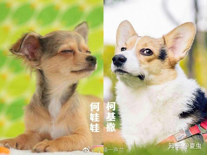 明星大侦探第四季什么时候出