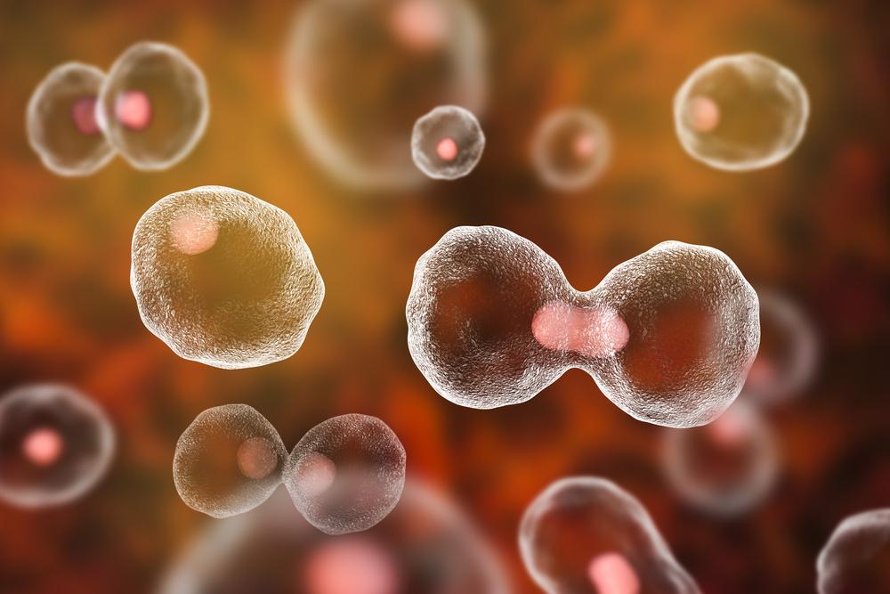 国内抗衰老干细胞保健