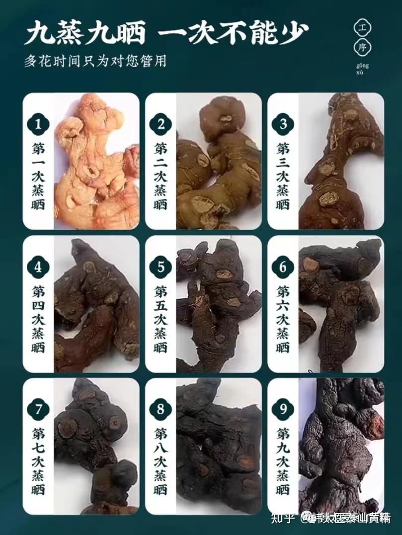 九蒸九晒是什么？黄精为什么要九蒸九晒？ - 知乎