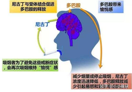 戒烟时戒断反应一般有多长时间?戒烟最难熬的是哪几天 - 知乎