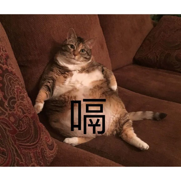 吃什么东西不会饿 v2-8dbb38105c875f35a4210e1cd61f000c_r.jpg