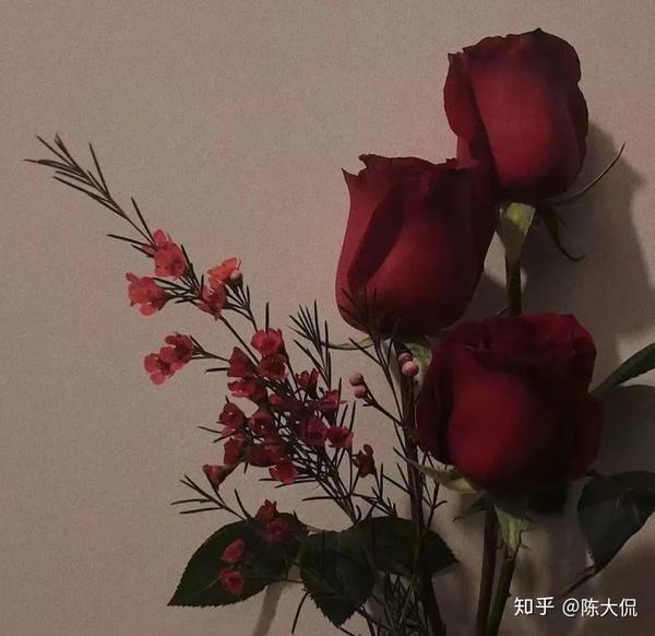文案句子温柔干净治愈爱情短句(文案丨那些温柔干净且无关爱情的句子)