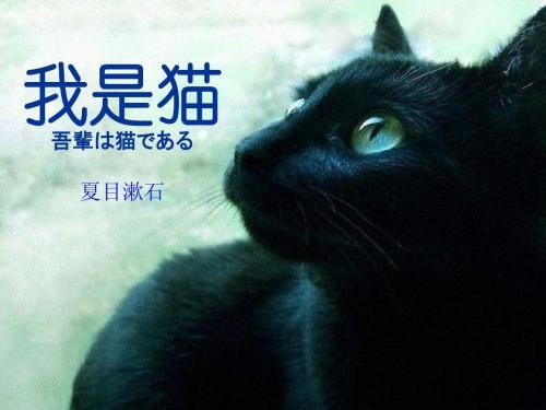 猫眼窥人 夏目漱石 我是猫 书评 知乎