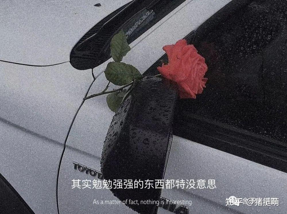 文案治愈人间清醒的神仙句子