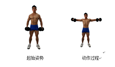 如何提高基础代谢率成功瘦身。 - 知乎