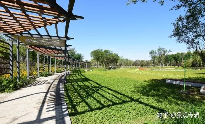 北京温榆河公园碳中和图片
