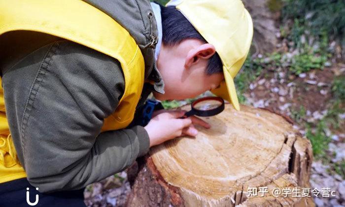 为什么跟美国人说我叫 Stella 他们露出了非常神奇的表情 知乎