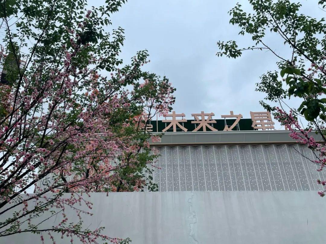 温州未来之星摇号有没有内幕看温州学区房狗旺阵