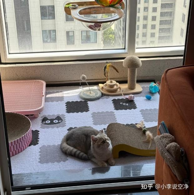 养宠三年,我被猫毛和过敏逼到差点把主子送走……直到入手沁园A1200,真香警告!现在:真·人猫和谐。