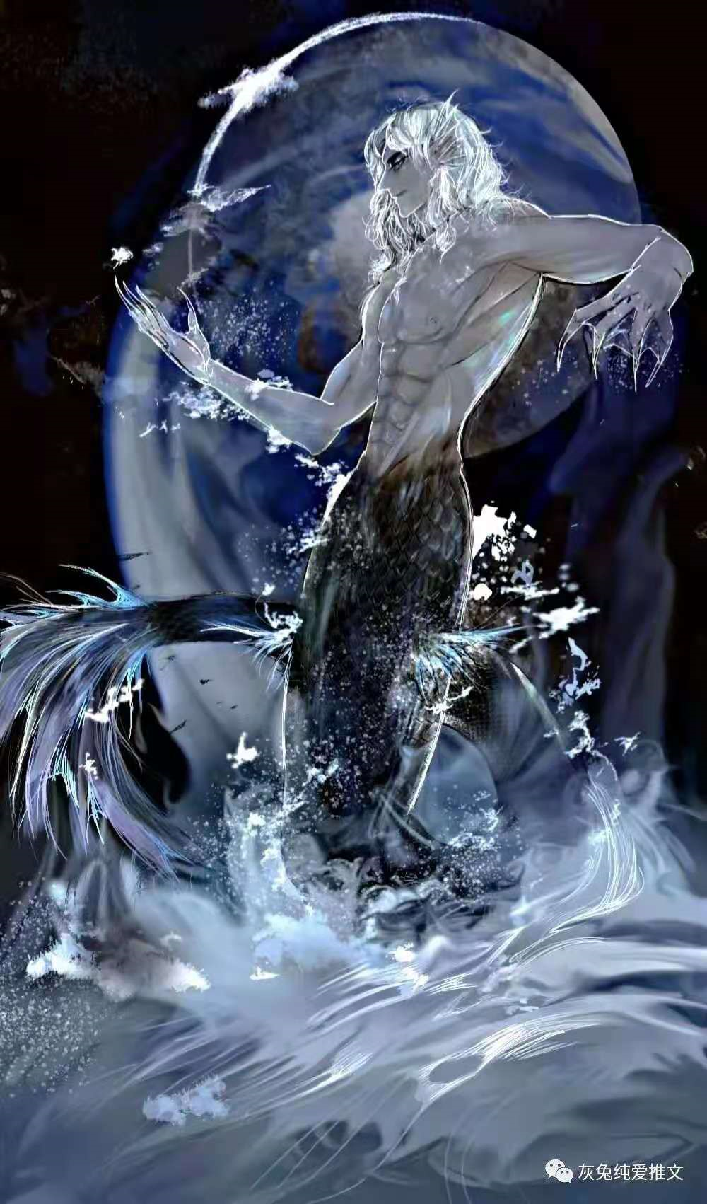 有没有德萨罗人鱼的插画呢