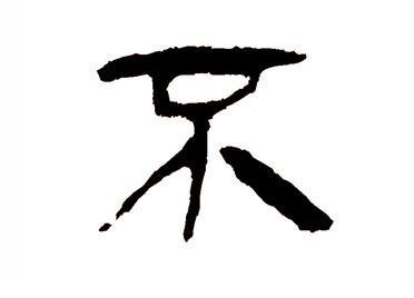 不:汉字的起源与演变(小学一年级语文生字 第39集)