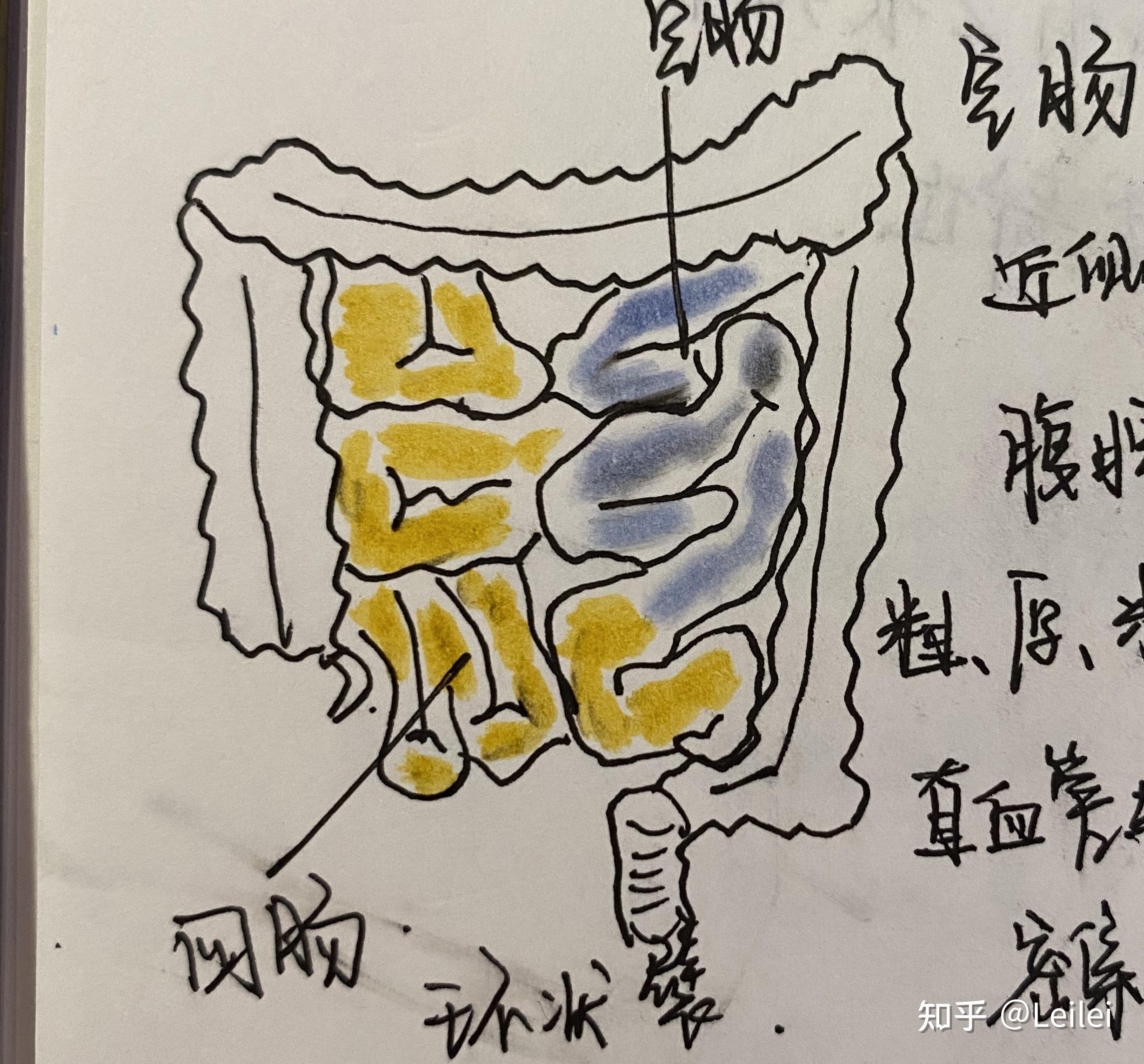 系解绘图 - 知乎