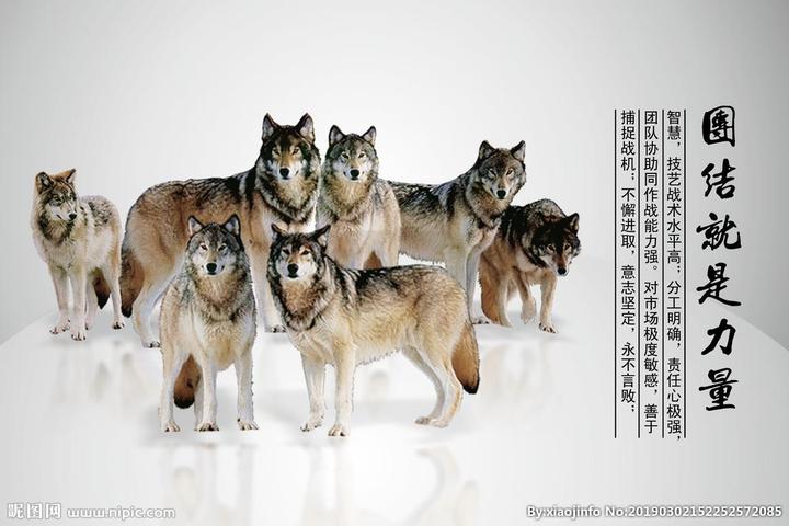 请娇惯她的那些人理性一些 - 知乎