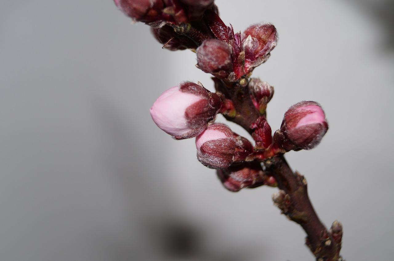 2. 环境宜居解析