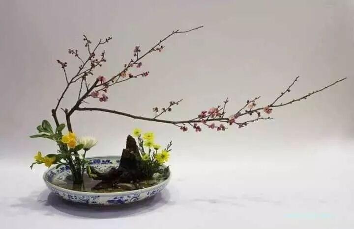 觚、觯、罍、尊、壶、盆、盘、缸、钵这些花器,您能分辨出吗?(上) - 知乎