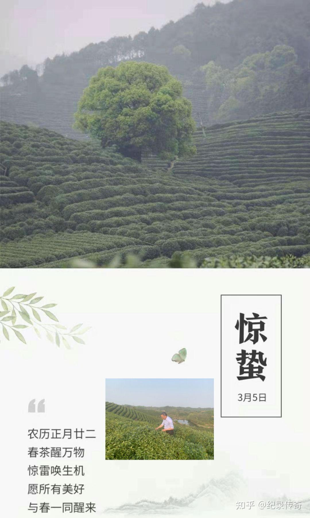 v2-8e0b2e0ad124cd4413835b4d411432ac_r.jpg