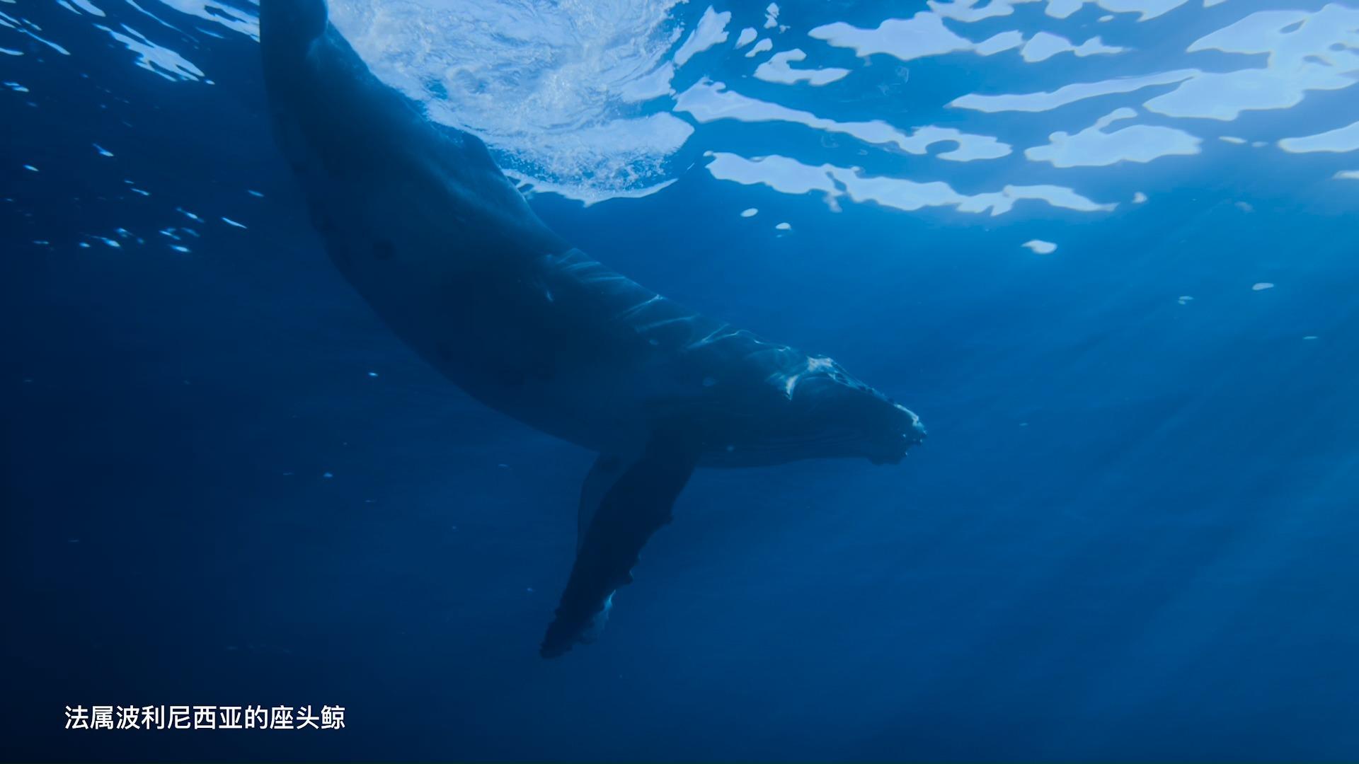 v2-8e0fd7e7b5864204c93252113cc81122.jpg?source=1940ef5c