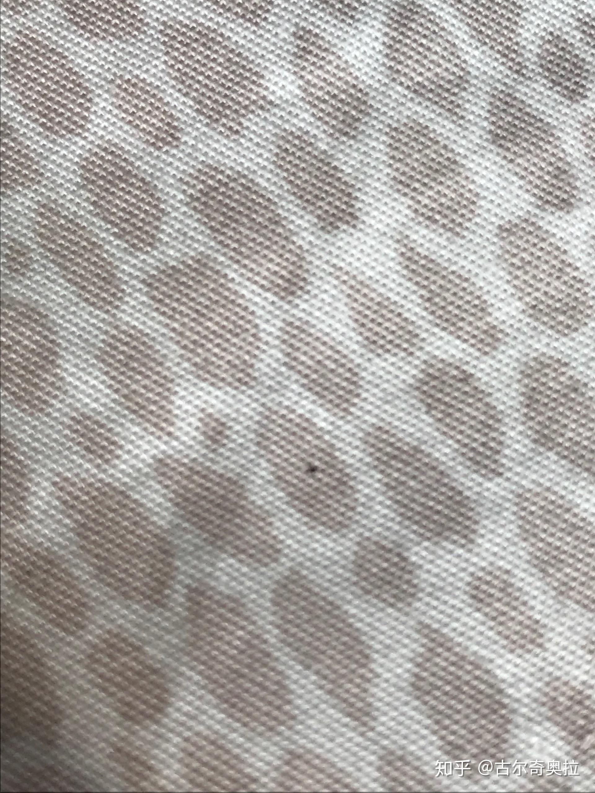 这黑点到底是蟑螂排泄物吗? - 知乎