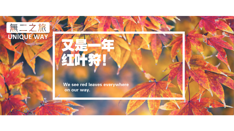 18红叶期限已定 日本赏枫全攻略拿好不谢 知乎