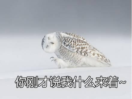 生物以近56的選擇率排在新高考選科之首高考生物的