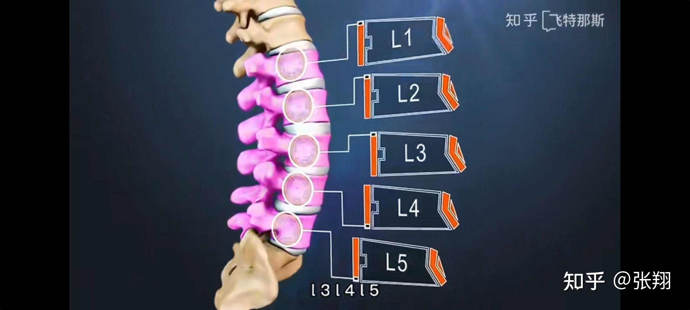 腰椎L2、L3、L4横突骨折恢复笔记（不定时更新） - 知乎