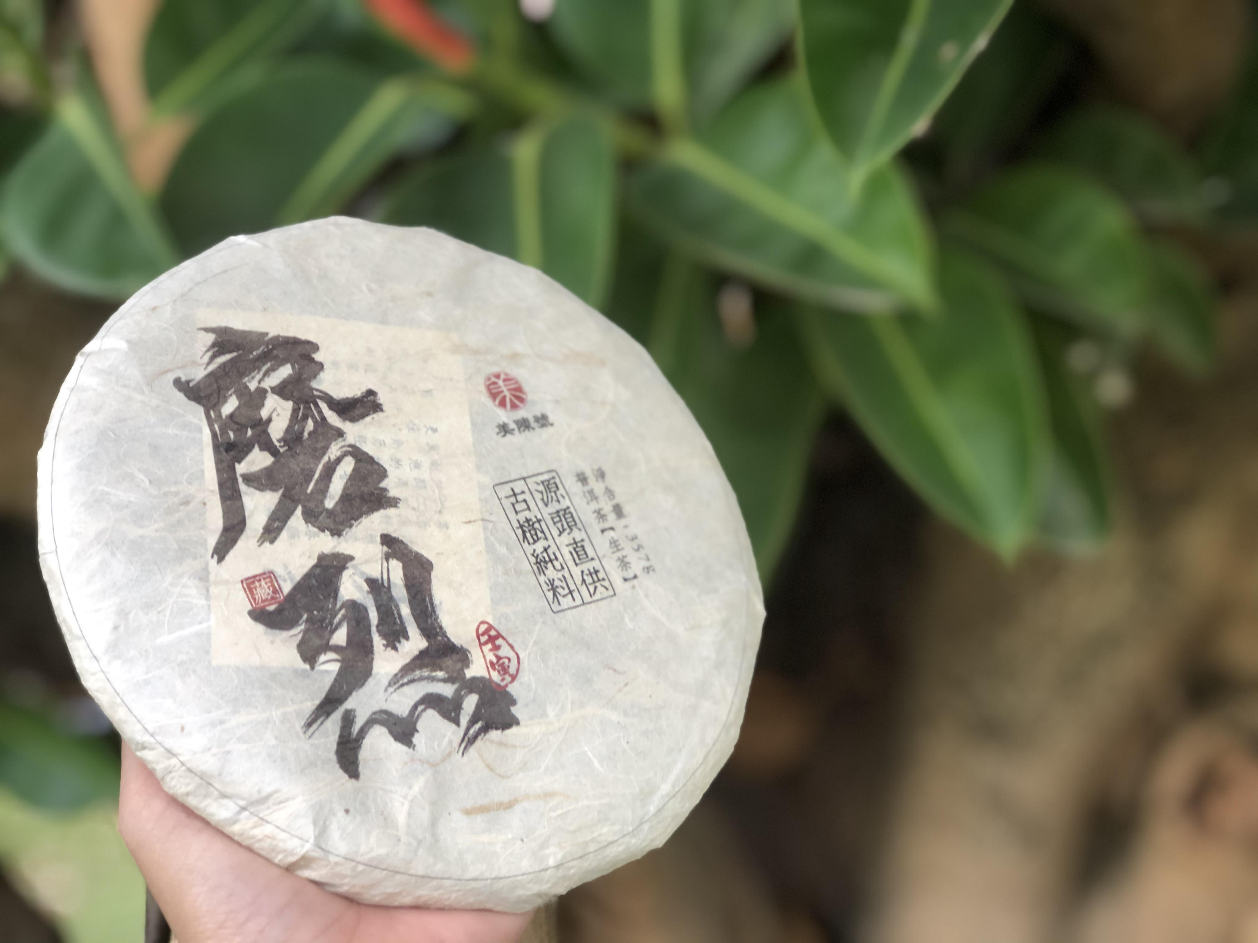 "临沧后起之秀"磨烈古树茶,气韵更胜冰岛! - 知乎