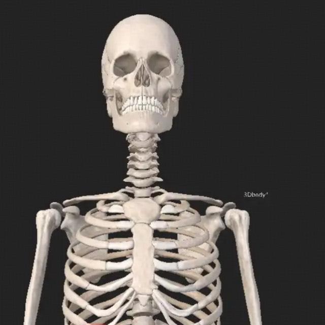 没有练过的普通人，怎样才能提高和别人对打的胜率？