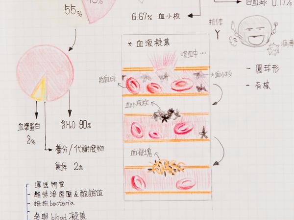 高考生物和化学这类 文科性质的理科 如何正确提分 知乎