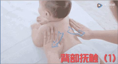 v2-8e5e18f072a47233a890509eddc4b5d2_r.jpg