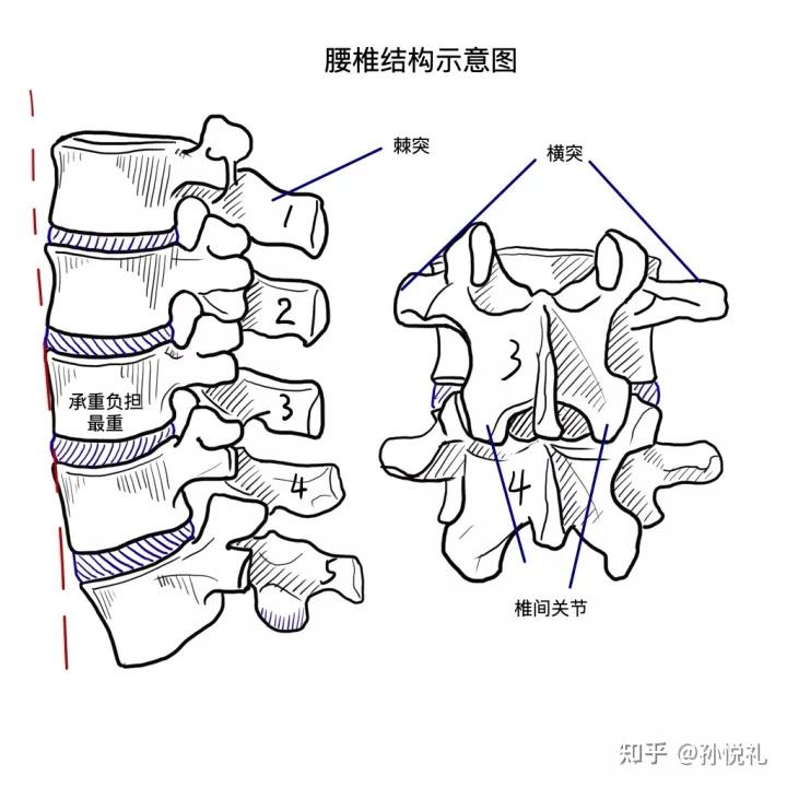 如何看待漫画腰挑战值得模仿吗