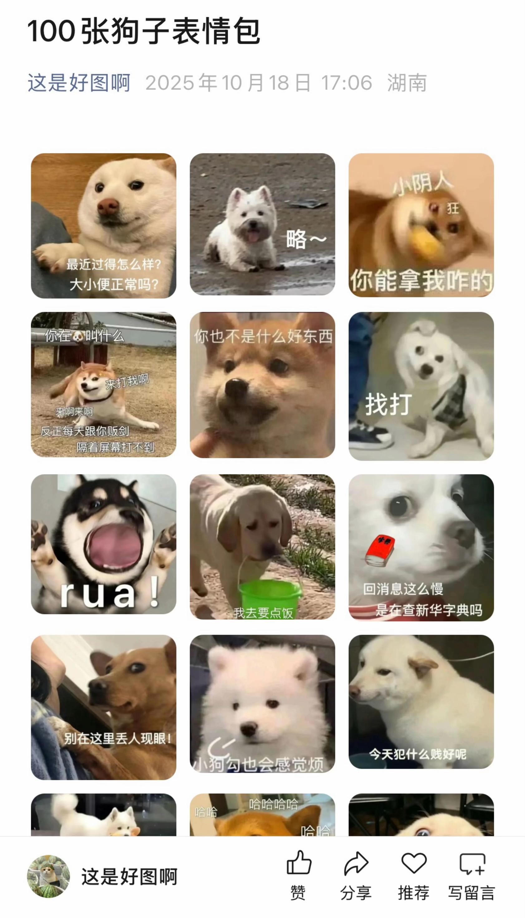 100张狗子表情包 - 知乎