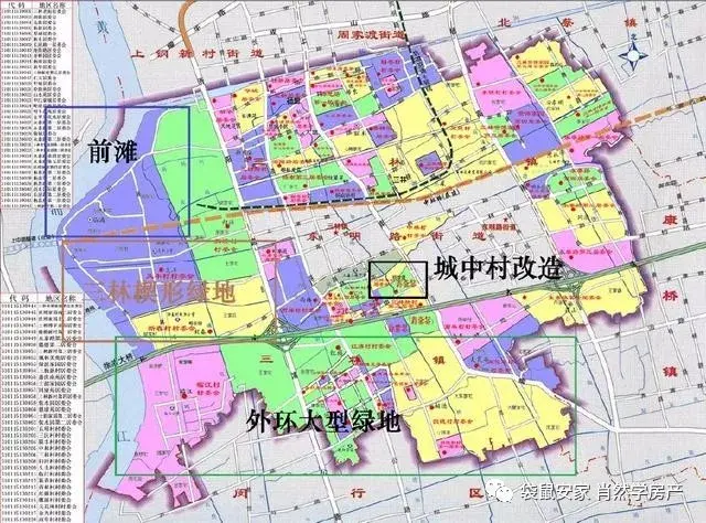 三林镇地图划分图片