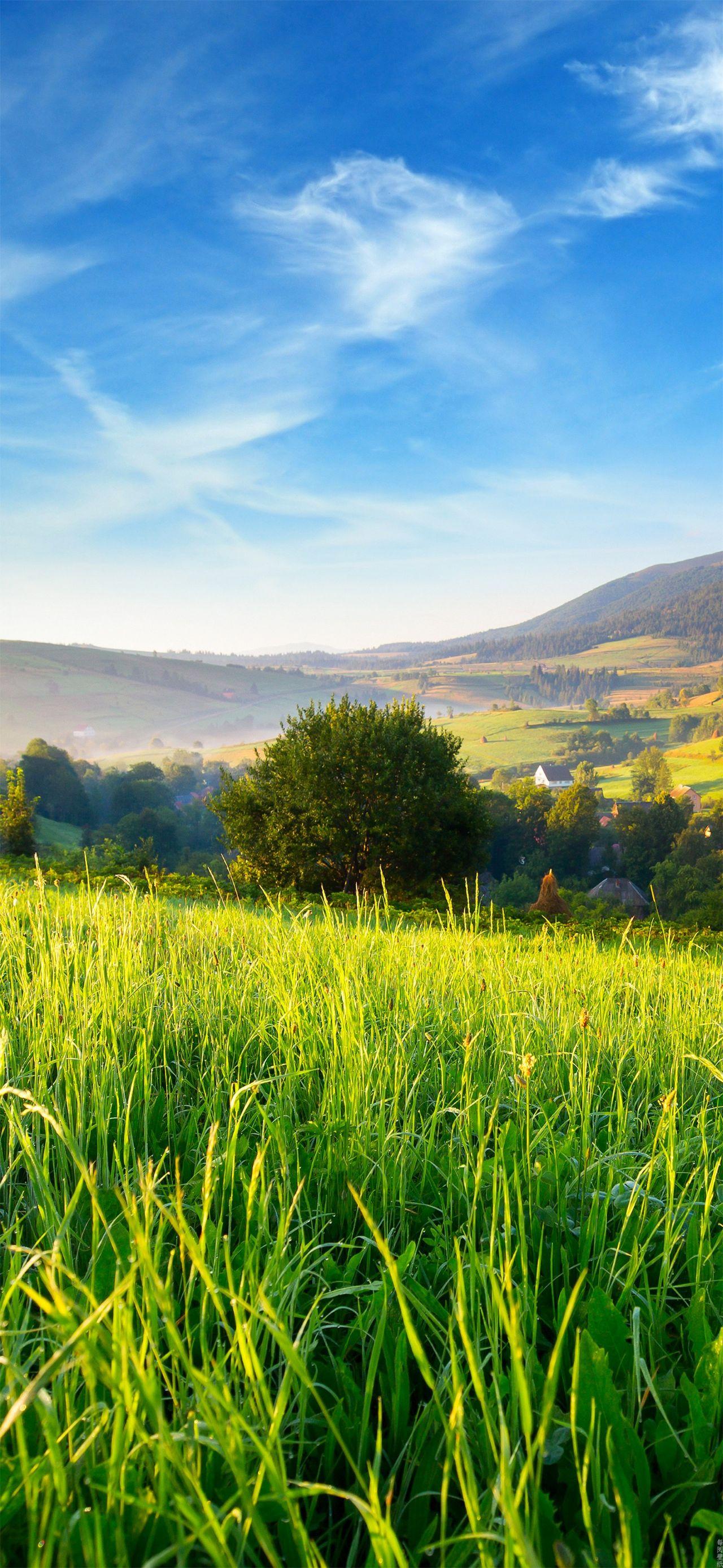 阴雨天真的很影响心情有哪些阳光明媚蓝天白云的壁纸图片可以推荐一下