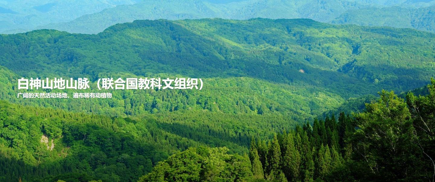 看日本 日本历史遗迹 白神山地山脉 知乎 看日本 日本历史遗迹 白神山地山脉 知乎