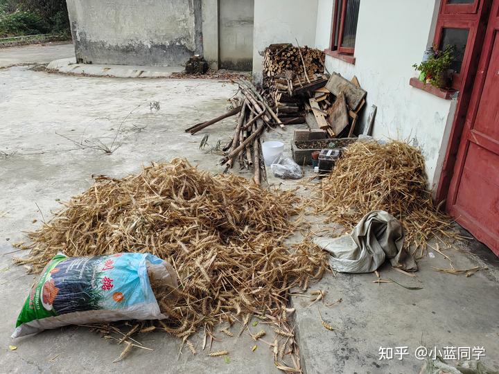 人，可以废物到什么程度？