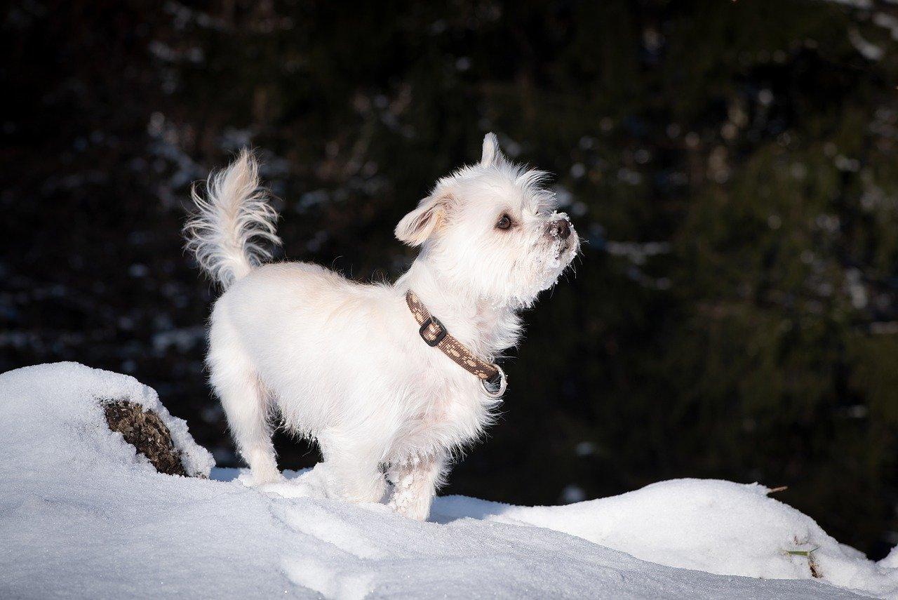 驼房营南里房子怎么样