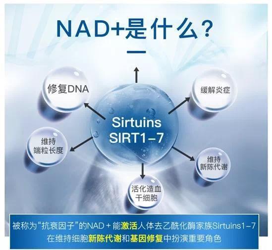 抗衰科普nad是什么与nmn有什么联系