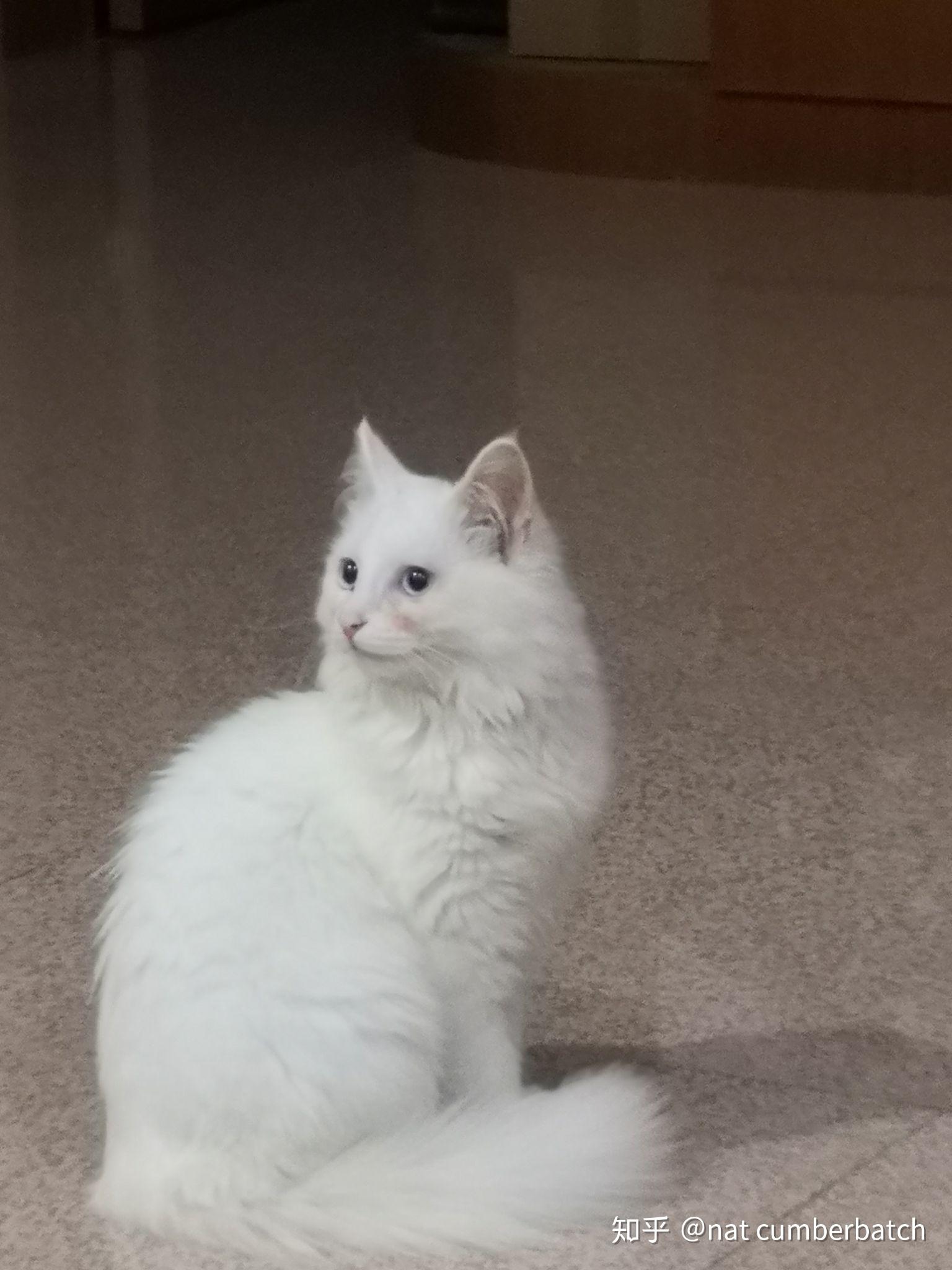 自己染发和去理发店染发有什么差别么?