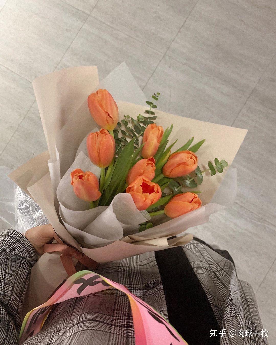 每日更新韩国ins风格配图图片