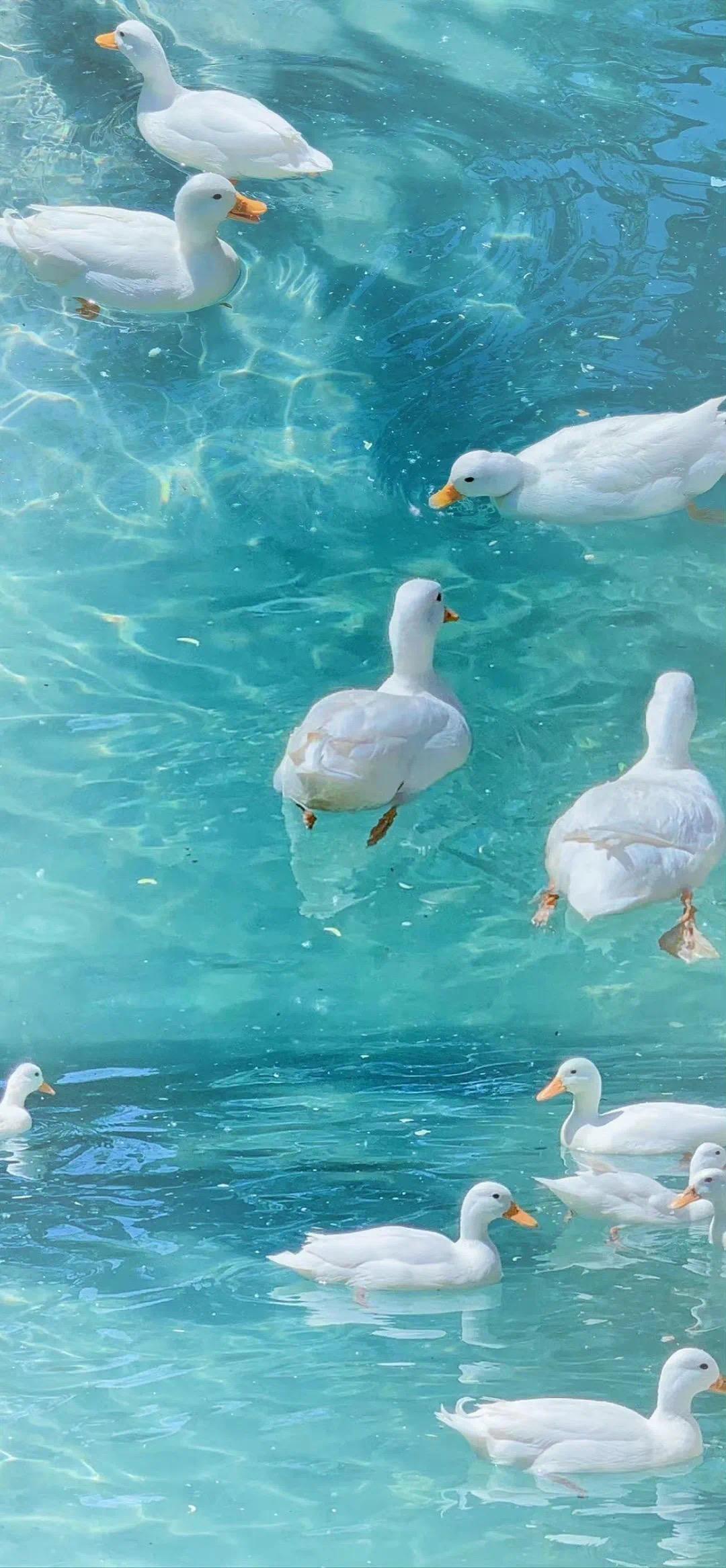 潮图壁纸|热门ins质感高级感小众夏日壁纸 - 知乎