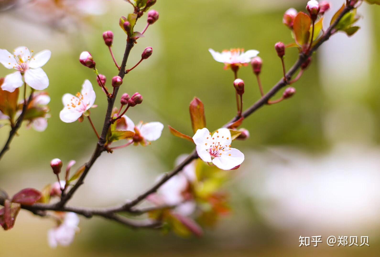 在淮南师范学院上学是怎样的体验?