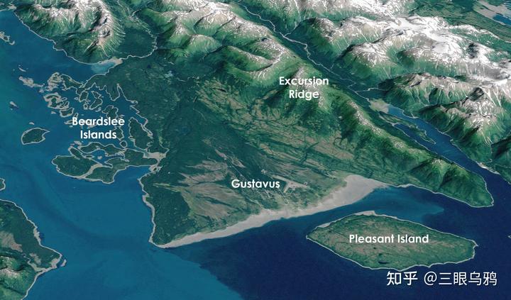 如果将 20 只狼和 500 只鹿放进同一孤岛，最后谁能活下来？