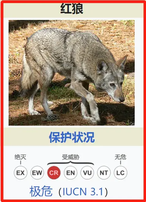 2500万美元，为红狼架起“生命桥” - 知乎